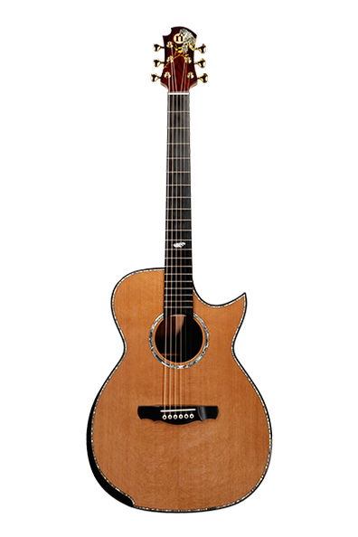 Daniel Padim - Orchestra Cutaway Model III (OMDP-III)